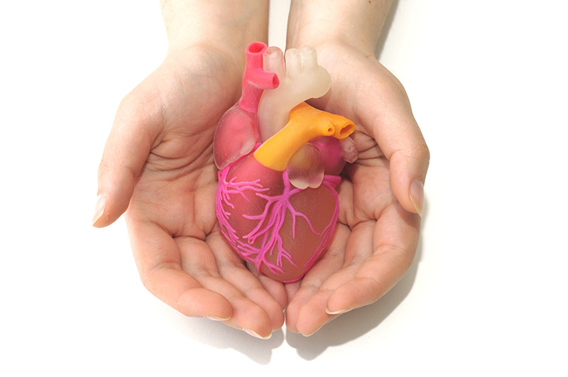 Coronary Heart Disease 冠狀動脈心臟病 | 衛教單張 - China