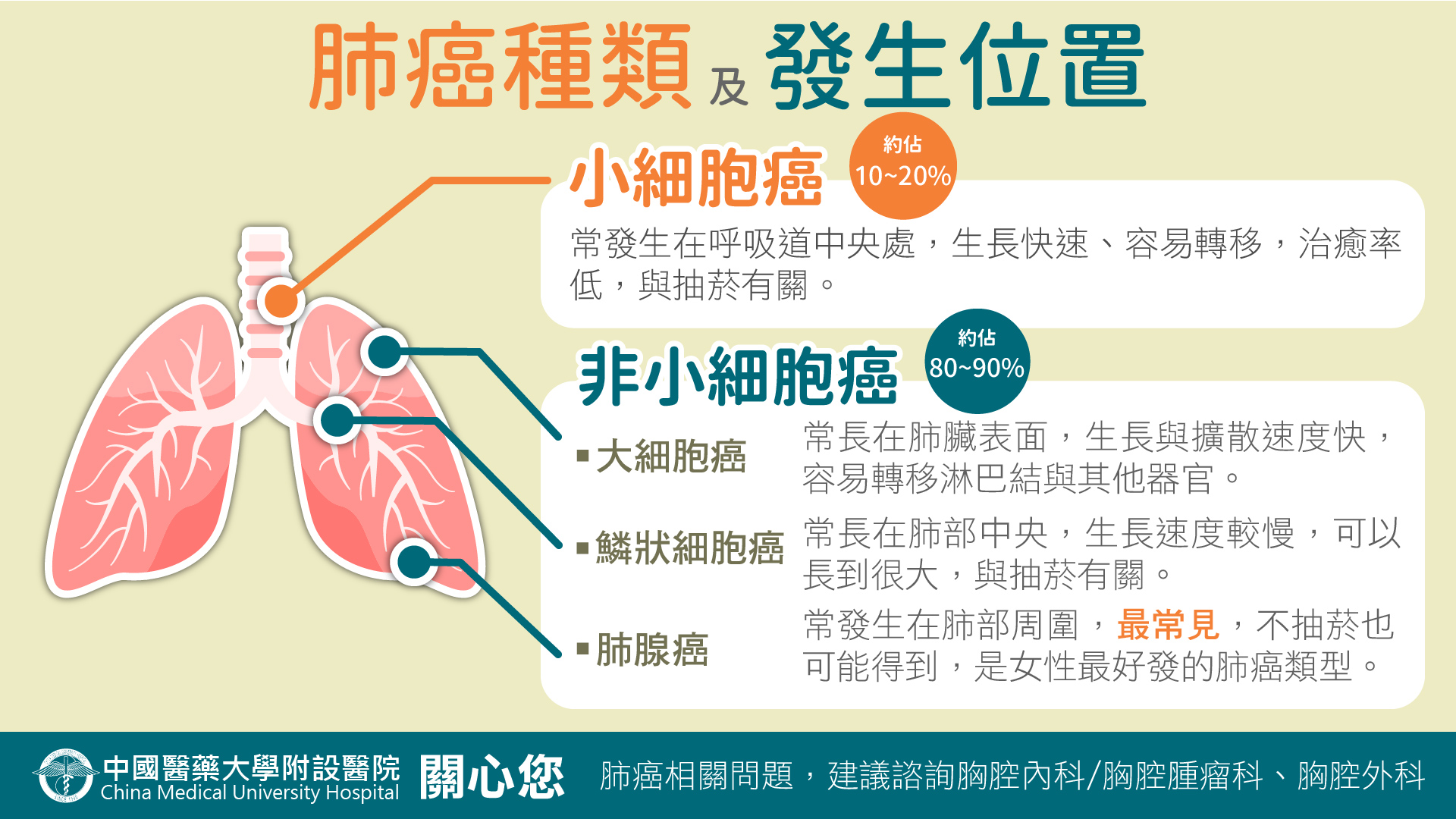 肺癌種類及發生位置-肺癌懶人包3 | 最新消息- 中國醫藥大學附設醫院