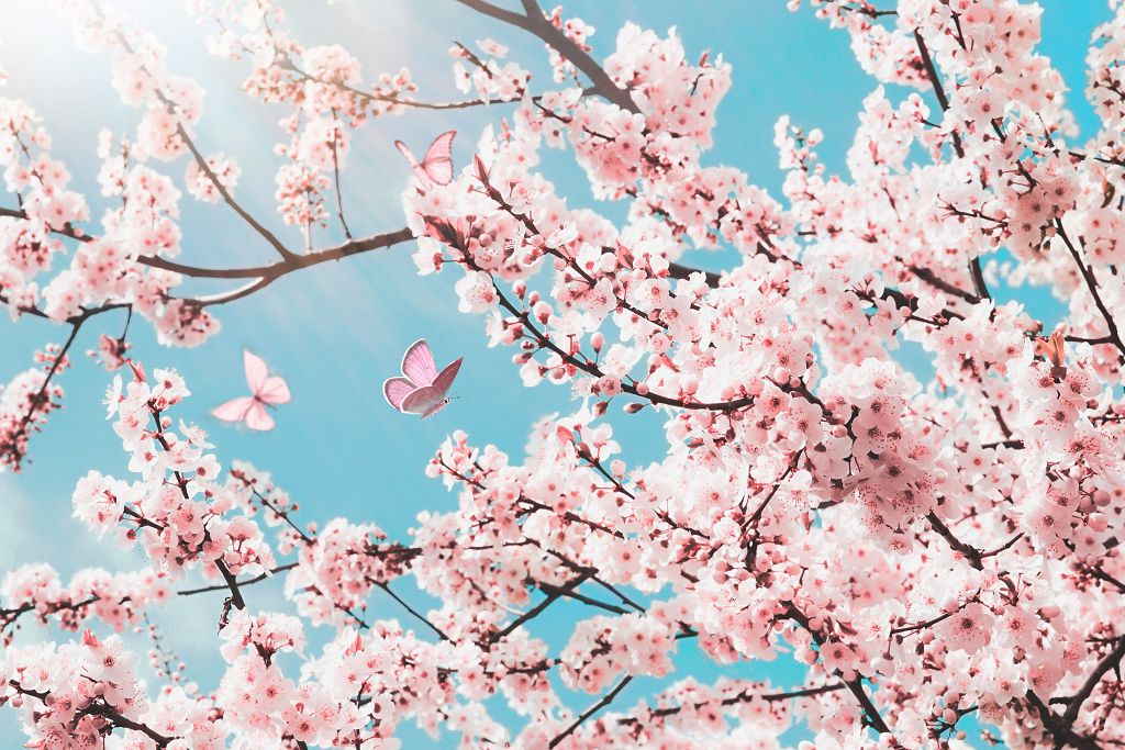 114年8月最新消息