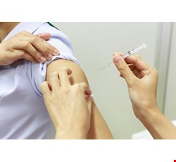 A型肝炎疫苗介紹
