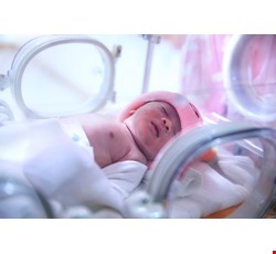 新生兒加護病房入院處置簡介
