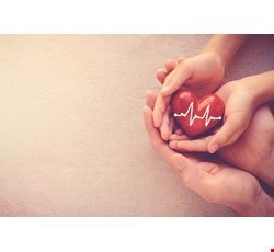 心臟病嬰居家照護用藥須知（三）