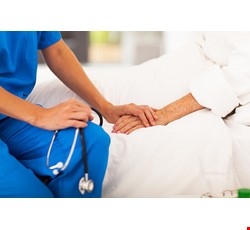Hospice share care 緩和醫療共同照護簡介