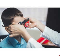 Visual Impairment in Children 兒童視覺障礙