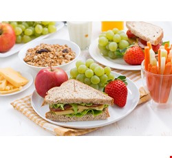 Nutrition for Children in Middle and High Grades 中高年級學童營養