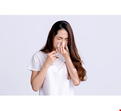 The health care of allergic rhinitis 鼻鼽（過敏性鼻炎）的日常保健