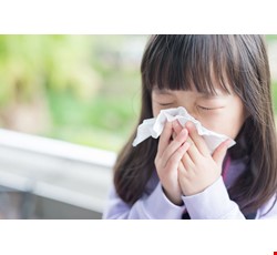 兒童過敏性鼻炎中醫照護事項
