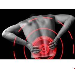 Daily Care for Lower Back Pain in Chinese Medicine 下背痛的中醫日常保健