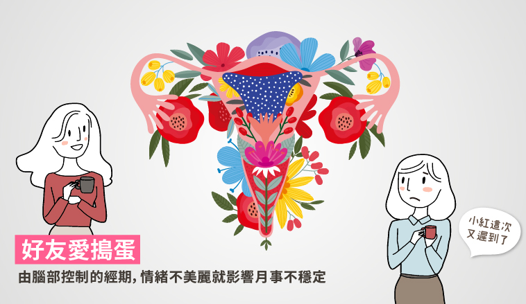 李湘萍醫師|月經是由腦部控制卵巢,卵巢在控制子宮的 月經,是由腦部控制卵巢,卵巢在控制子宮的