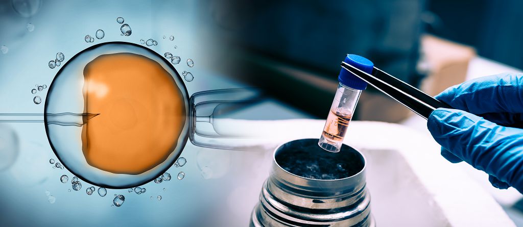 胚胎的未來，AI智慧宅