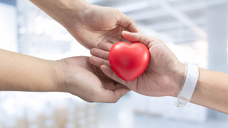 本院114年度接受各界善心人士捐款及使用狀況