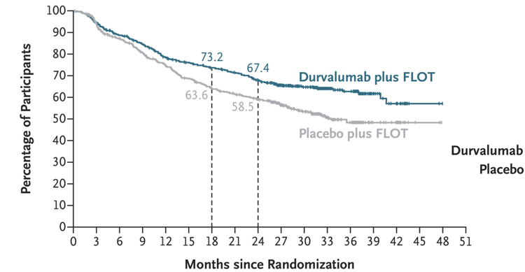 Perioperative Durvalumab in Gastric and Gastroesophageal Junction Cancer
