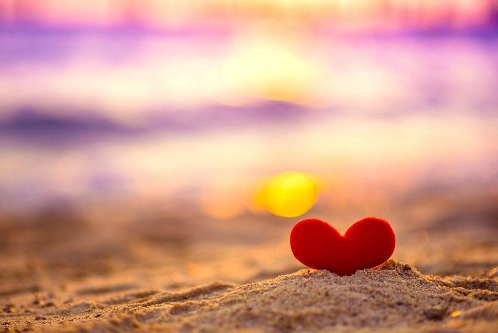  數學與閱讀能力 同組基因決定